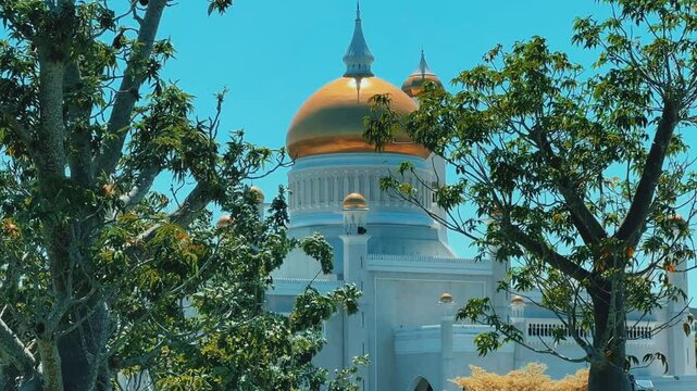 Brunei Darussalam - June 25, 2025: Sultan Omar Ali Saifuddin Mosque in Bandar Seri Begawan. Mosque with baobab trees in the foreground. Mosque facade and dome in sunlight. 4К