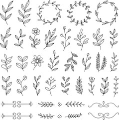 Fototapeta premium A large collection of hand drawn floral elements and decorative flourishes on a white background