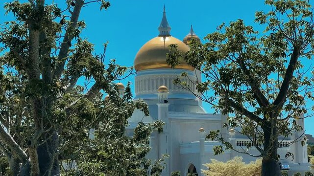 Brunei Darussalam - June 25, 2025: Sultan Omar Ali Saifuddin Mosque in Bandar Seri Begawan. Mosque with baobab trees in the foreground. Mosque facade and dome in sunlight. 4К