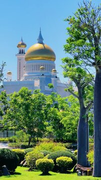 Brunei Darussalam - June 25, 2025: Sultan Omar Ali Saifuddin Mosque in Bandar Seri Begawan. Mosque with baobab trees in the foreground. Mosque facade and dome in sunlight. 4К