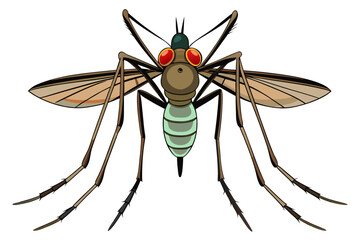 High-quality vector illustration of a mosquito in detailed line art style. This black and white insect outline is perfect for educational materials, biology textbooks, scientific posters, and healthca