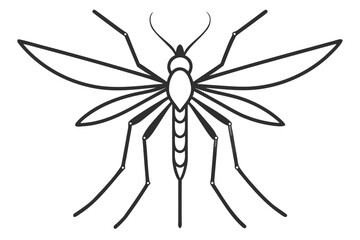 High-quality vector illustration of a mosquito in detailed line art style. This black and white insect outline is perfect for educational materials, biology textbooks, scientific posters, and healthca