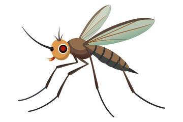 High-quality vector illustration of a mosquito in detailed line art style. This black and white insect outline is perfect for educational materials, biology textbooks, scientific posters, and healthca