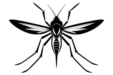 High-quality vector illustration of a mosquito in detailed line art style. This black and white insect outline is perfect for educational materials, biology textbooks, scientific posters, and healthca