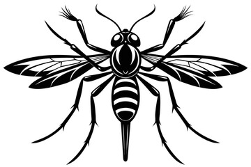 High-quality vector illustration of a mosquito in detailed line art style. This black and white insect outline is perfect for educational materials, biology textbooks, scientific posters, and healthca