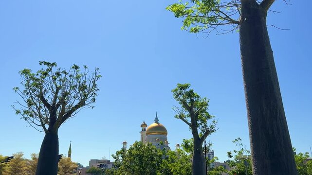Brunei Darussalam - June 25, 2025: Sultan Omar Ali Saifuddin Mosque in Bandar Seri Begawan. Mosque with baobab trees in the foreground. Mosque facade and dome in sunlight. 4К