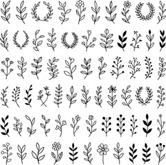 Obraz premium Many diverse hand drawn botanical elements such as branches, leaves, and small flowers are displayed together
