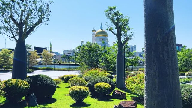 Brunei Darussalam - June 25, 2025: Sultan Omar Ali Saifuddin Mosque in Bandar Seri Begawan. Mosque with baobab trees in the foreground. Mosque facade and dome in sunlight. 4К