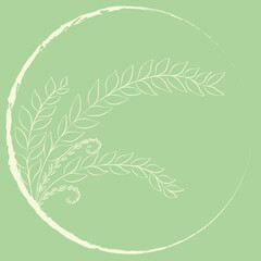 Fern leaves contour on mint green back illustration