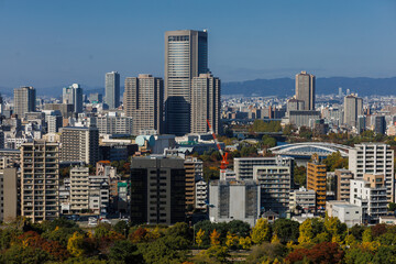 Obraz premium Osaka Cityscape With Tall Buildings and Autumn Trees in the Background Under a Clear Sky