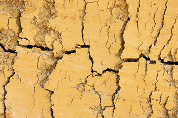 Obraz premium Close up of cracked yellow dry clay surface texture background