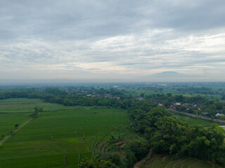 Obraz premium Peaceful aerial view of a traditional rural village and rice fields surrounded by lush greenery and distant lawu mountain under a cloudy sky. Residential area in the tropics.