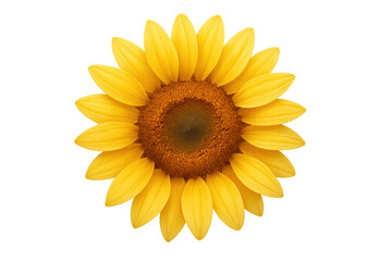 Fototapeta premium Beautiful sunflower creating feelings of summer, nature, and growth with its vibrant yellow petals and intricate seed pattern