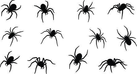 Black spider silhouettes collection, creepy arachnid icons isolated on white background, halloween insect illustration set for design vector graphic bundle © Shahariar's World