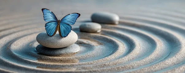 Papier peint photo Chambre de fille Serene blue butterfly perched on smooth stone in zen garden  © pima