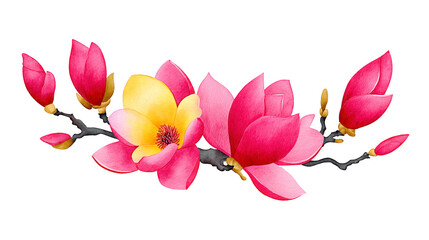 Pink magnolia flower yellow magnolia flower blooming branch delicate petal spring blossom nature isolated botanical vibrant elegant Pink and yellow magnolia flowers bloom dark branch showcasing