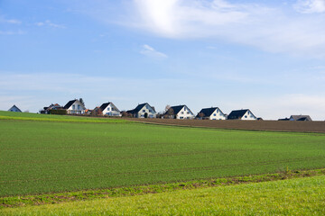 Rural landscape with agriculture field and single family detached homes in the background on a sunny autumn day. Photo taken December 20th, 2025, Oberh&ouml;ri, Canton of Zurich, Switzerland.