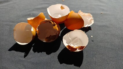 broken egg shell