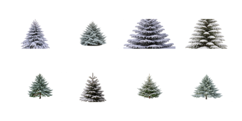 Collection of various evergreen fir trees isolated with snow covering branches ready for winter design projects on transparent background