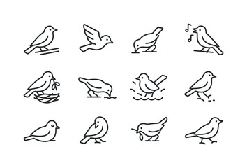 Obraz premium Bird Behavior Icons. Bird Behaviors. Line icon set of Bird Behav
