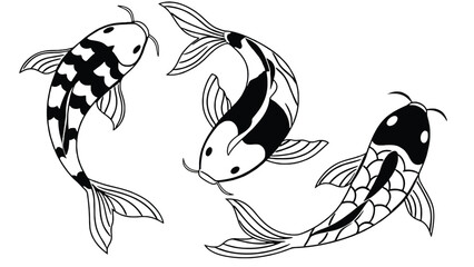 Three black and white koi fish swim in a fluid motion.
