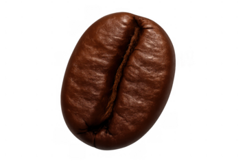 Dark roasted arabica coffee bean closeup, fresh and energetic, showing rich texture and natural aroma on a transparent background
