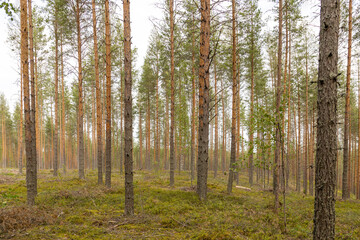 Finnland, Land der unendlichen Weite und der Ruhe