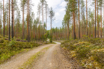Obraz premium Finnland, Land der Ruhe und der unendlichen Weite
