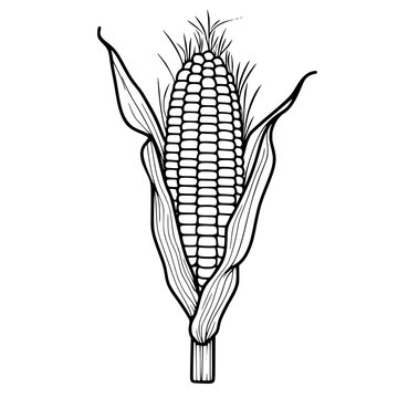 Rustic Corn Cob Black White | Clean, isolated vector art for creative projects.