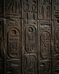 Ancient Egypt Writing System Symbols on Dark Stone Wall Surface