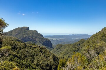 A scenic view of the Coromandel Forest Park in New Zealand. The image captures the rugged, green landscape of the park, showcasing its natural beauty and vastness under a clear blue sky.