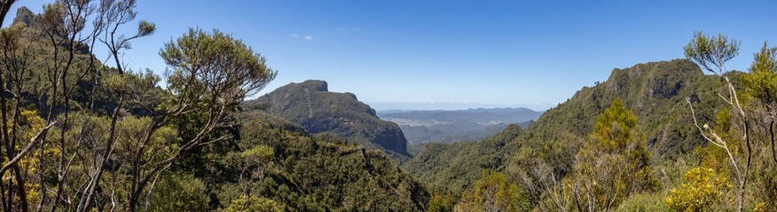 Fototapeta premium A panoramic view of the Coromandel Forest Park in New Zealand. Lush green trees cover the steep hills and mountains under a clear blue sky. The park is a popular destination for hiking and camping.