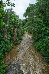 Fototapeta premium Testo River in the small town of Pomerode