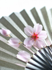 銀色の扇子に桜の花