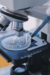 Portrait, science and happy woman on laptop in lab to research chemistry, test or innovation. Microscope, scientist and face of medical doctor in goggles for microbiology, healthcare or pharma study