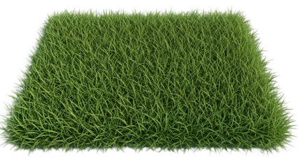 Grass patch isolated on transparent background