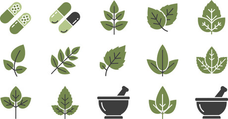 Set of green icons representing natural health and herbal medicine in a grid layout