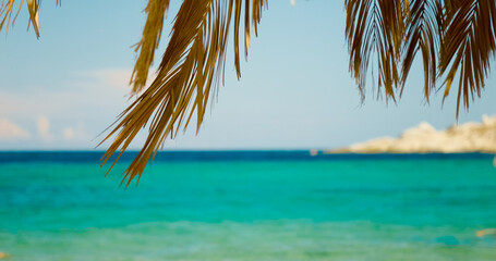 Sea waves softly blurred and focus on plants in the foreground. Unfocused shot of a beach with no people. © RecCameraStock