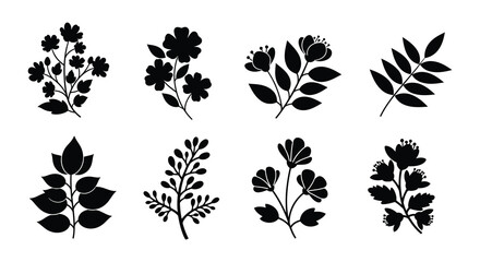 Variety of botanical silhouettes black and white foliage arrangements displayed