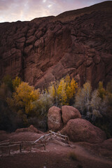 Autumn trees glow at the foot of massive red rock cliffs in the Atlas Mountains, where a simple wooden path leads into a quiet, rugged landscape at dusk.
