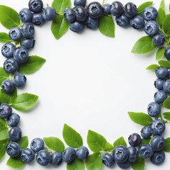 Fresh raw blueberry in frame form, copy space.