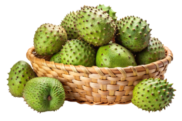 Basket of fresh soursop fruits