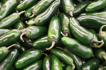 Fresh green jalapeno peppers background. Pile of raw chili vegetables. Natural spicy food texture. Organic produce closeup. Healthy cooking ingredients. Market vegetables. Mexican cuisine concept.
