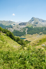 Bukomirsko Jezero Montenegro Region Podgorica