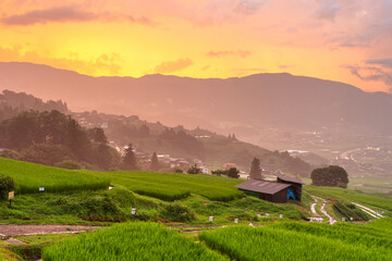 Obraz premium Obasute, Nagano, Japan Rice Terraces 2563