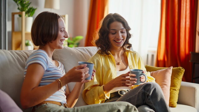 Smiling ladies clinking coffee cups enjoying cozy domestic atmosphere closeup. 