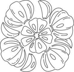 Empty vector file display