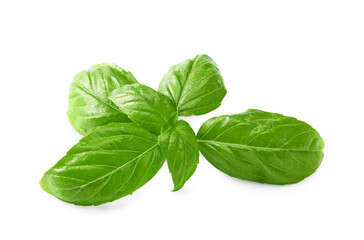 Basil leaf isolated on white background. Macro. clipping path