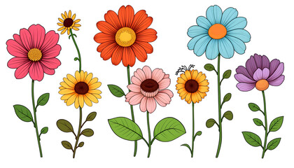 A row of colorful flowers with a white background