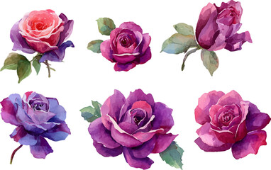 Fototapeta premium set of pink roses